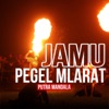 Jamu Pegel Mlarat - Single, 2024