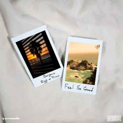 Feel So Good - Single - Borgeous