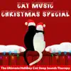 Cat Music Christmas Special - The Ultimate Holiday Cat Sleep Sounds Therapy album lyrics, reviews, download