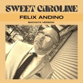 Sweet Caroline (Bachata Version) artwork