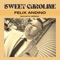 Sweet Caroline (Bachata Version) artwork