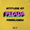 Pelada (Ao Vivo) - Single album lyrics, reviews, download