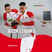 Igeza lendalo -Ningang'jaji - EP artwork