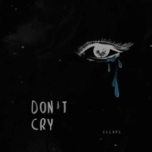 don’t cry artwork