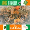 James Connolly - The Irish Rebel