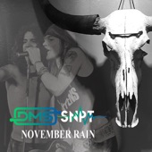 November Rain (Acoustic) artwork