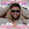 Stream & download Guapa Guapa - Single