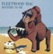 Hypnotized - Fleetwood Mac lyrics