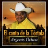 El Canto de la Tórtola - Single