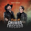 Fase Do Chumbo Trocado - Single