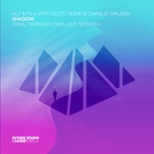 Shadow (Paul Thomas Chill Out Session) artwork