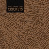 Crickets, 2011
