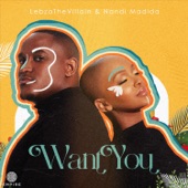 Want You artwork