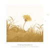 Francesco De Grazia - Gliding Dandelion