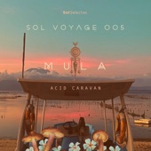 Sol Voyage 005 - Acid Caravan (DJ Mix) artwork