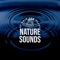 Natural Sounds - Nature Sounds Of Rain For Sleep lyrics
