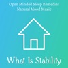 What Is Stability - Open Minded Sleep Remedies Natural Mood Music with Instrumental New Age Soothing Sounds