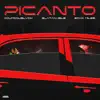 Picanto (feat. Zlatan & ECko Miles) - Single album lyrics, reviews, download