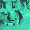 Steezy - Joe Svantner lyrics