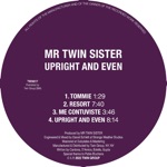 Mr Twin Sister - Resort