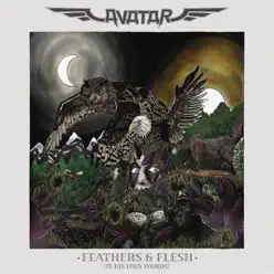 Feathers & Flesh (In His Own Words) - Avatar