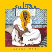 Sultan (feat. Mounir Troudi) artwork