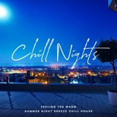 Chill Nights - Feeling the Warm Summer Night Breeze Chill House (DJ Mix) artwork