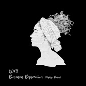 Romanian Resurrection (Pophop Remix) artwork