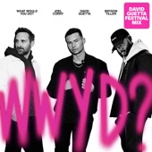 What Would You Do? (feat. Bryson Tiller) [David Guetta Festival Mix] artwork