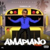 Amapiano vibes(Yaba Buluku Refix) (feat. Dj Tarico) - Single