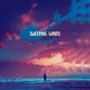 Sweeping Winds - Single