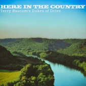 Here in the Country artwork