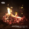 Dancing on Fire (Liam Sieker Remix) - Single