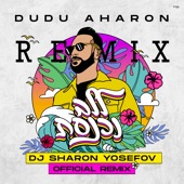 ללב נכנסת (Sharon Yosefov Remix) artwork