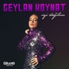 Ceylan Koynat - İyi Değilim