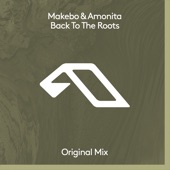 Back To The Roots (Extended Mix) artwork