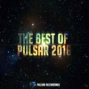 The Best of Pulsar 2016, 2016