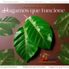 Hagamos que funcione - Single