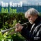 Oak Tree - Tom Harrell lyrics