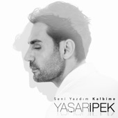 Seni Yazdım Kalbime artwork