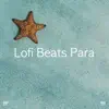!!!" Lofi Beats Para Focar "!!! album lyrics, reviews, download