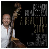 A Beautiful Story (feat. Dino Rubino, Enrico Zanisi & Alessandro Paternesi) artwork