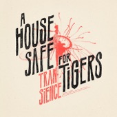 A House Safe for Tigers - Little League Summer