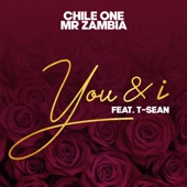 You & I (feat. T-Sean) artwork