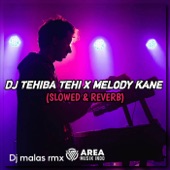 Dj Tehiba Tehi X Melody Kane ( Slowed & Reverb) 🎧 artwork