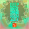 Deep House Spring Essentials 2017