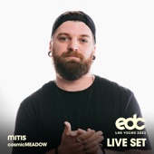 MitiS at EDC Las Vegas 2022: Cosmic Meadow Stage (DJ Mix) artwork