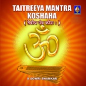 Taitreeya Mantra Koshana artwork