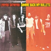 Lynyrd Skynyrd - Cry For The Bad Man