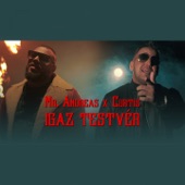 Igaz testvér (feat. Curtis) artwork